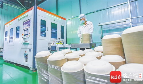 變 看海口國家高新區云龍產業園甘蔗渣變成環保餐具