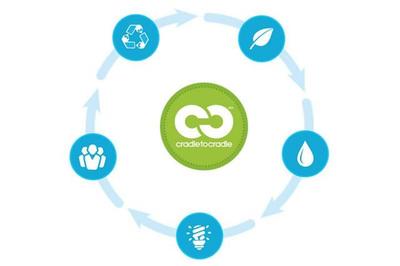 &ldquo;從搖籃到搖籃&rdquo;,常州智雄環保讓廢舊汽車重新煥發生機