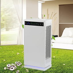 創(chuàng)健空氣凈化產品 產品圖片 加盟店怎么樣