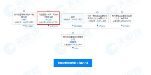 阿里系再拓新局 成立合肥菜劃算，賦能農產品銷售與網絡技術融合